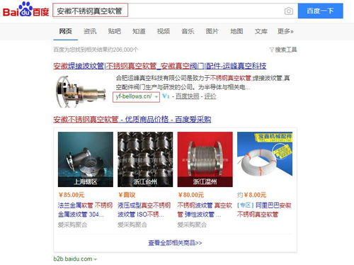 運(yùn)峰真空科技 攜手網(wǎng)新科技集團(tuán)，探索合肥SEO網(wǎng)絡(luò)營(yíng)銷推廣新路徑